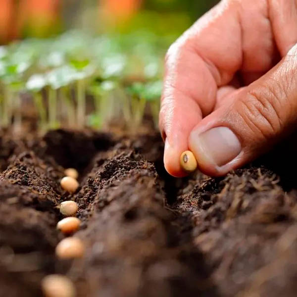 Грунт Фаско Универсальный 10л