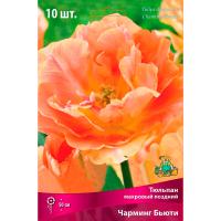 Тюльпан Махровый поздний Чарминг Бьюти (11/12) 10 шт