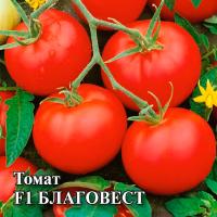 Томат Благовест F1 100шт