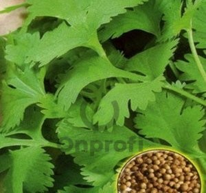 Пряность Кориандр Армянский 20г