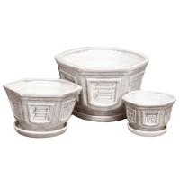 Бонсайка из 3-х белый