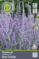 Перовския лебедолистная Блу Спайр 842452
