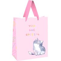 Пакет подарочный 18*23*10см "You are special" выб. лак, белый крафт MESHU/Рельеф Пакет подарочный 18*23*10см "You are special" выб. лак, белый крафт MESHU/Рельеф
