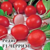 Редис Черриэт F1 1000шт