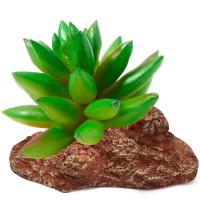 Растение Толстянка Laguna 95*70*90мм/84044002/Триол