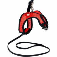 Шлейка+поводок АЭРО №6 д/кошек и собак обхв.груди 27-32см красная/035806/Дарэлл