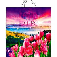 ПТЛ47681 Пакет 38*42 Просторы 1ШТ ПЭ с петлей /25/500шт/ ПТЛ47681 Пакет 38*42 Просторы 1ШТ ПЭ с петлей /25/500шт/