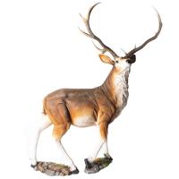 Олень благородный 110*110*50 ПЛ-223