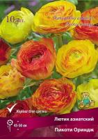 Лютик Пикоти Ориндж 7-8 10 шт 839643
