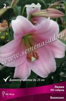 Лилия ЛО-Гибрид Беллсонг (12/14) 3 шт 847844