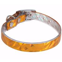 Ошейник синтетик 12мм Золото 20-24см/50312013/Каскад