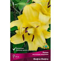 Лилия Восточная махровая Фифти Фифти (14/16) 1 шт