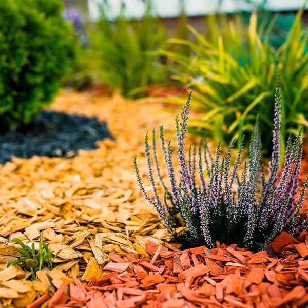 Щепа декоративная 60л желтая