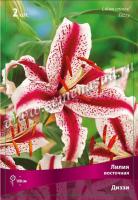 Лилия Восточная Диззи 