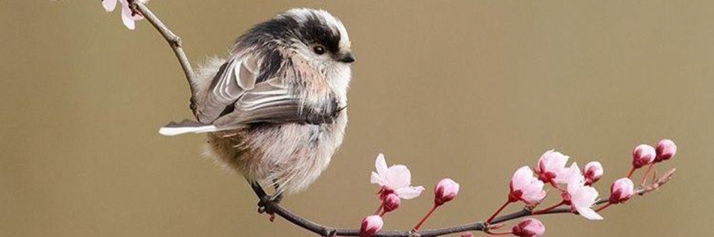 1500x500-(2).png 1500x500-(2).png