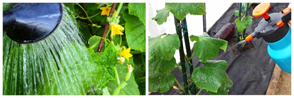 влажность-воздуха.jpg влажность-воздуха.jpg