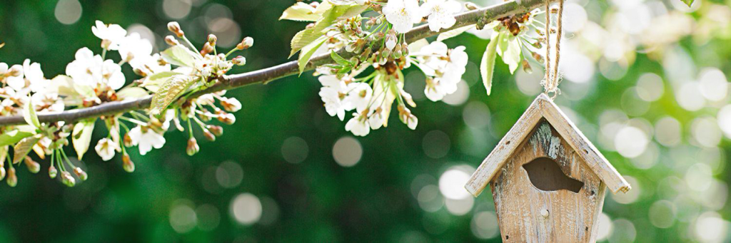 1500x500-(3).png 1500x500-(3).png