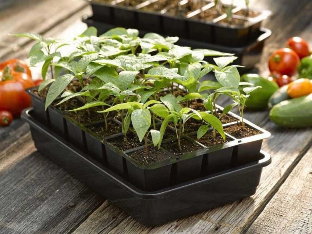 кассеты.jpg кассеты.jpg