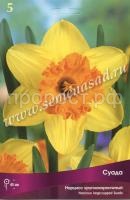 Нарцисс Суада