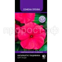 С175911 С175911