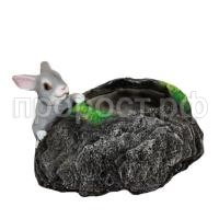 заяц у камня заяц у камня