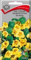 Настурция низкорослая Пич Мелба Настурция низкорослая Пич Мелба