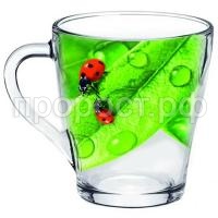 Живая природа Зеленый лист