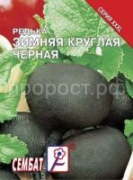 Редька Зимняя круглая черная 10г XXXL