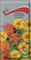 Гравилат чилийский Смесь окрасок Гравилат чилийский Смесь окрасок