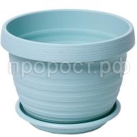 П131706_0 П131706_0