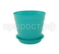 лаура с под (4)