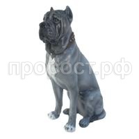 мастиф инт мастиф инт