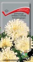 Бархатцы прямостоячие Килиманджаро Бархатцы прямостоячие Килиманджаро