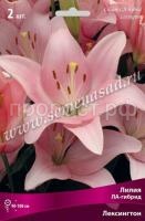 Лилия ЛА-Гибрид Лексингтон (14-16) 2шт 736171