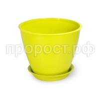 Мальта-фисташка-600x600