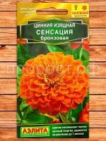 cinniya-sensaciya-bronzovaya-foto-semena-top