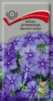 Флокс друммонда Красотка в голубом Флокс друммонда Красотка в голубом