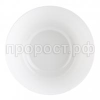 g0570 g0570