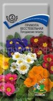 Примула бесстебельная Потсдамские гиганты Примула бесстебельная Потсдамские гиганты