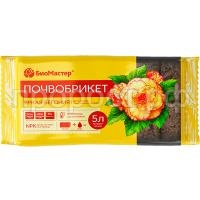 яркая бегония 5 яркая бегония 5