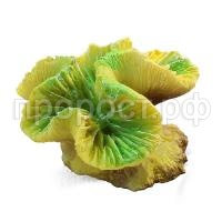 5bebc939e0d90071006192