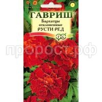 русти русти