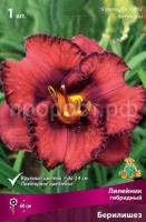 Лилейник гибридный Берилишез Лилейник гибридный Берилишез