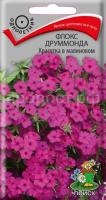 Флокс друммонда Красотка в малиновом Флокс друммонда Красотка в малиновом