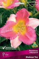 Лилейник гибридный Файнал Тач