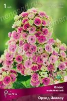 s2mvt2tv118cwd7ra5ik35eowmdnp4i7 s2mvt2tv118cwd7ra5ik35eowmdnp4i7