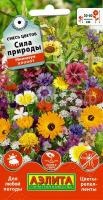 сила природы сила природы