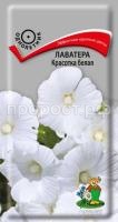 Лаватера Красотка белая Лаватера Красотка белая