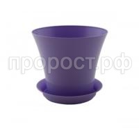 сити лаванда сити лаванда