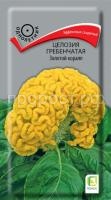 celozia_grebenchataya_zolotoy_korall celozia_grebenchataya_zolotoy_korall